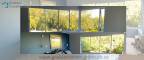 Window Views